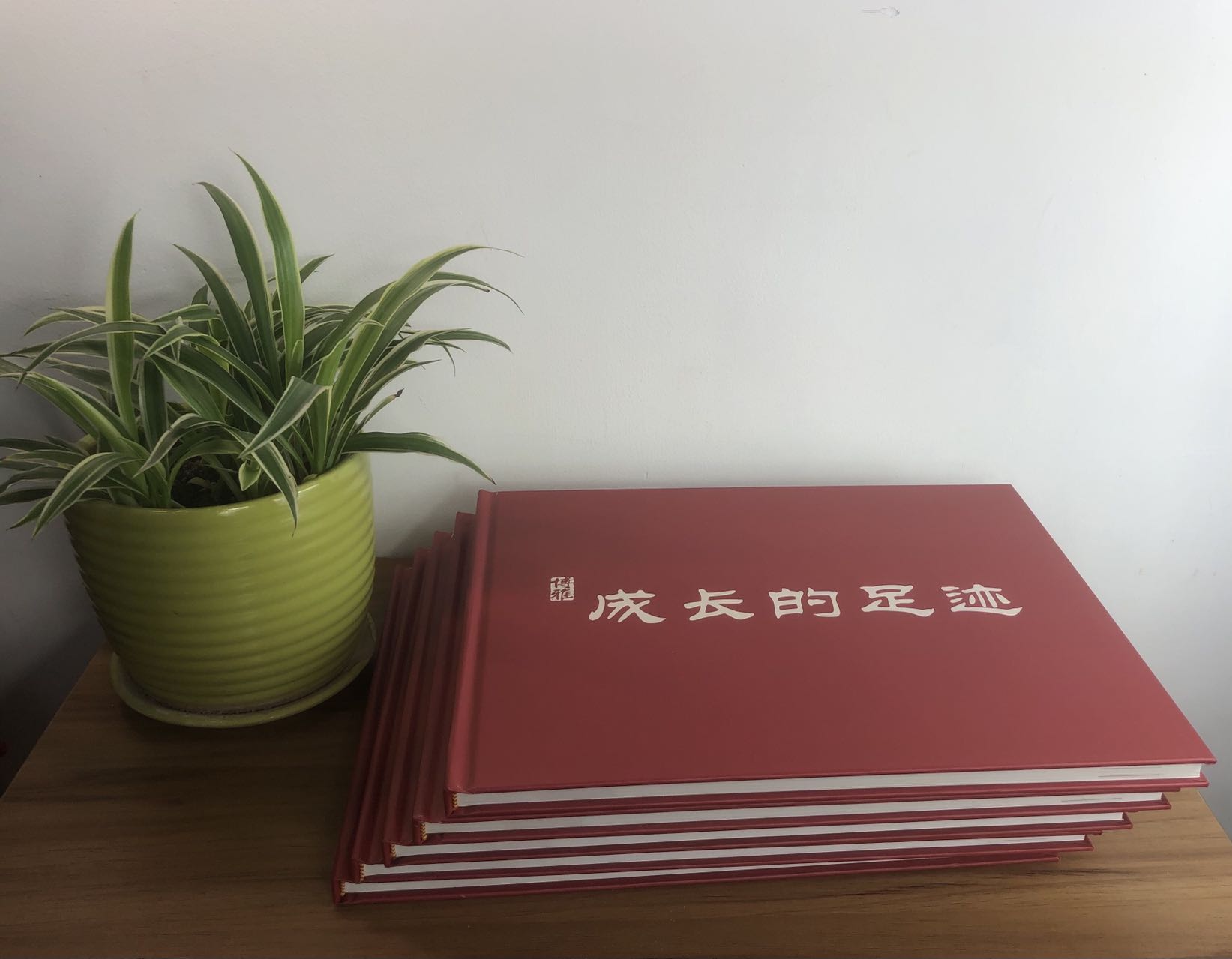 精裝畫(huà)冊(cè)印刷定制